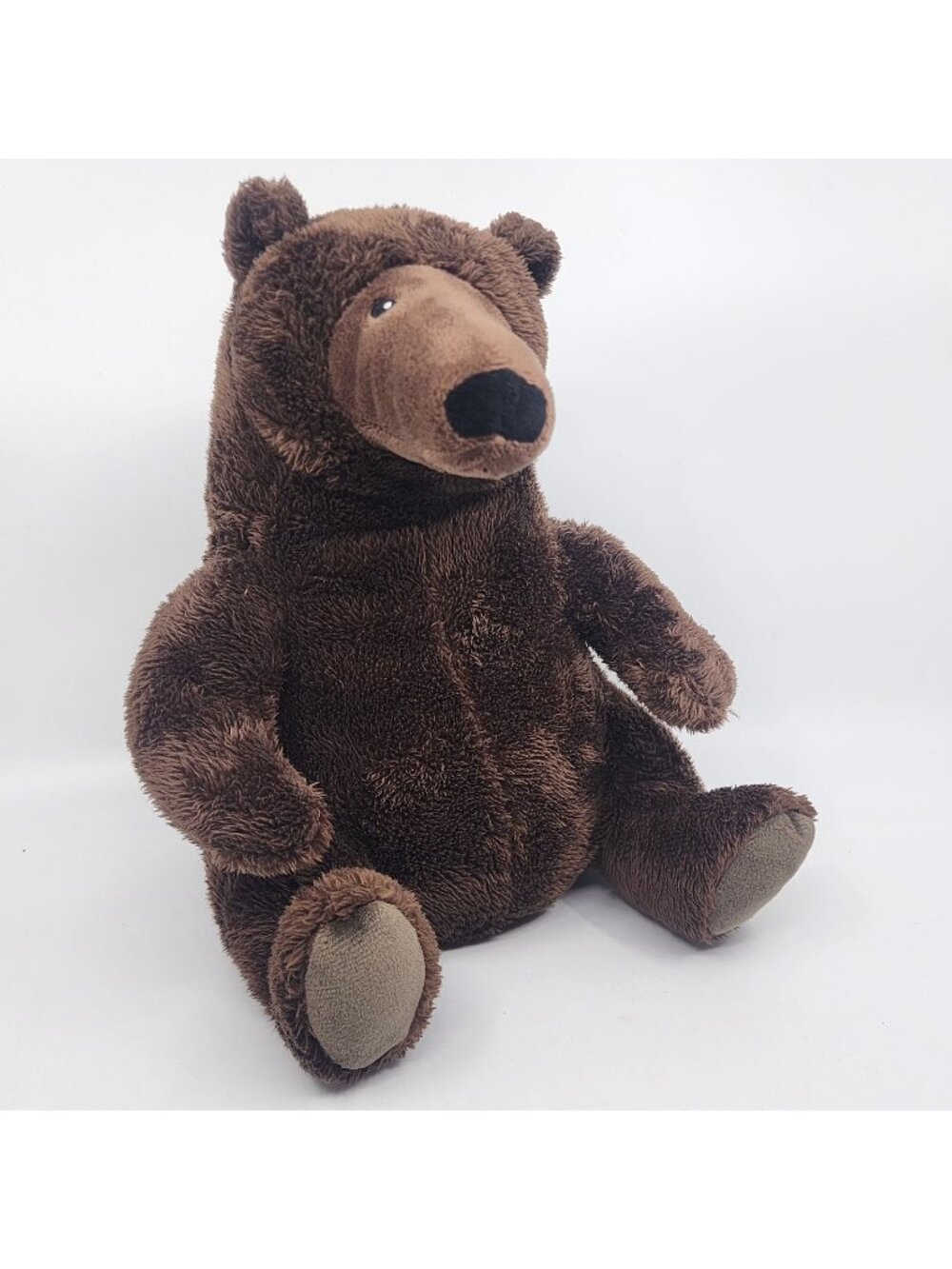 Kohl's Cares A Perfect Day Brown Bear Plush Stuffed Animal Toy 10" Lane Smith